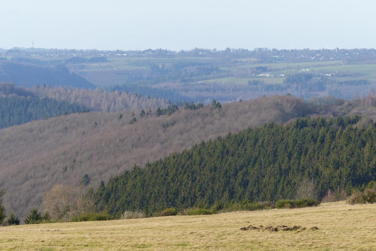 Chalets Am National Park Eifel Schleiden Exteriér fotografie